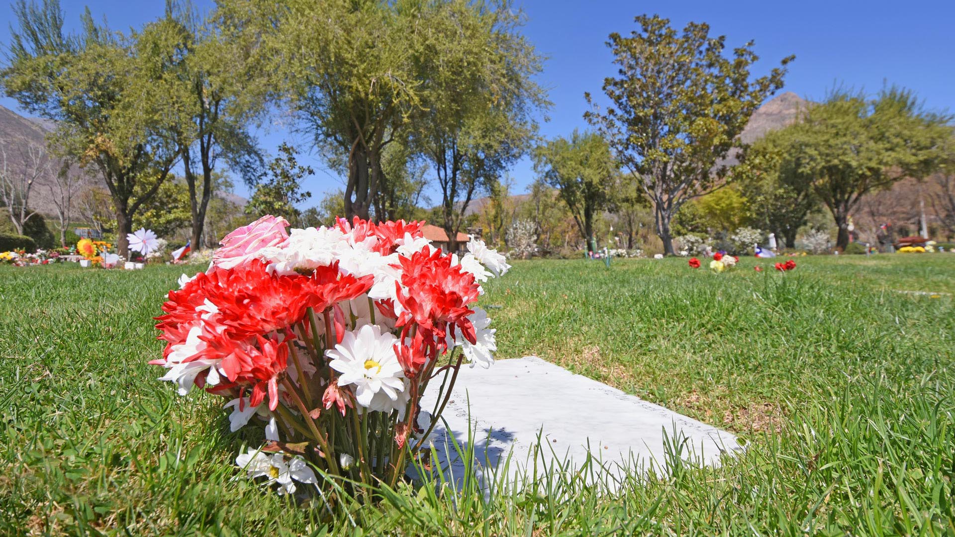 img laoracion-70.jpg