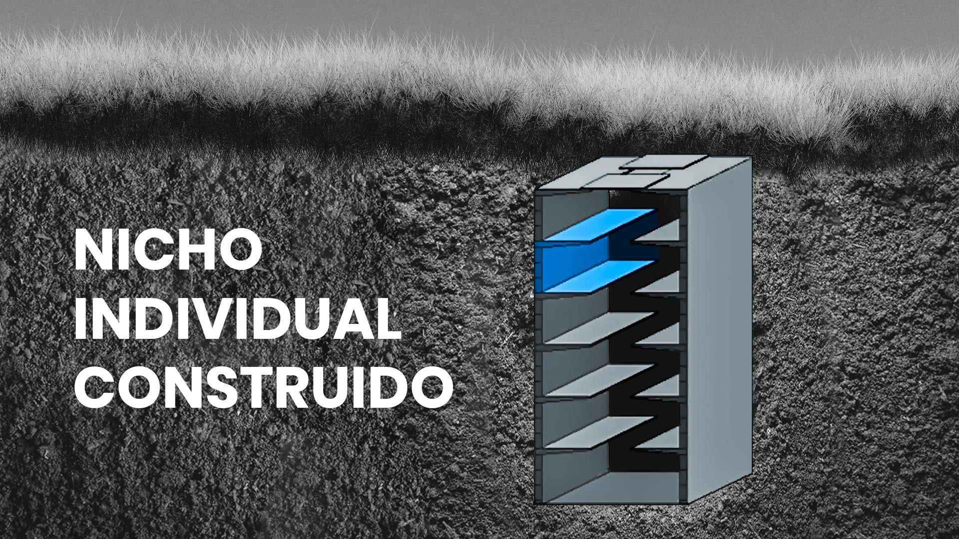 img lospensamientos-70.JPG